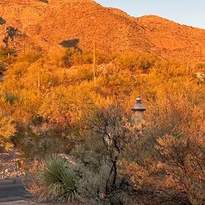 Meet your Posher, Catalina